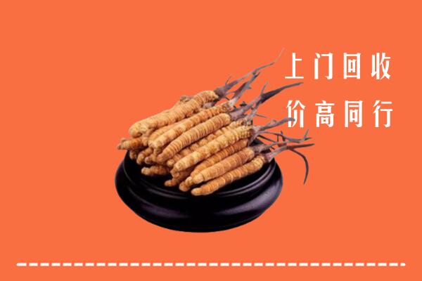 附近收购：昆明冬虫夏草回收多少钱每克