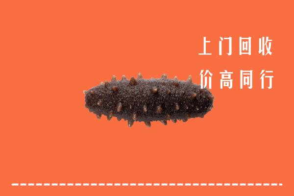 附近收购：昆明回收海参